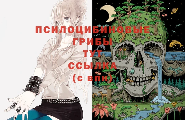 не бодяженный Михайловск