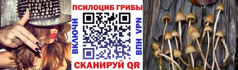 Псилоцибиновые грибы прущие грибы Ангарск