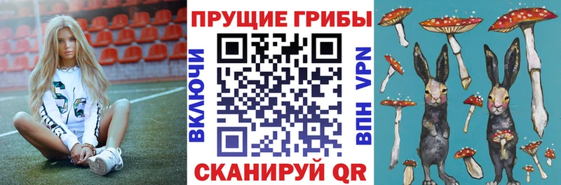 где можно купить наркотик  Ангарск  Псилоцибиновые грибы Magic Shrooms 