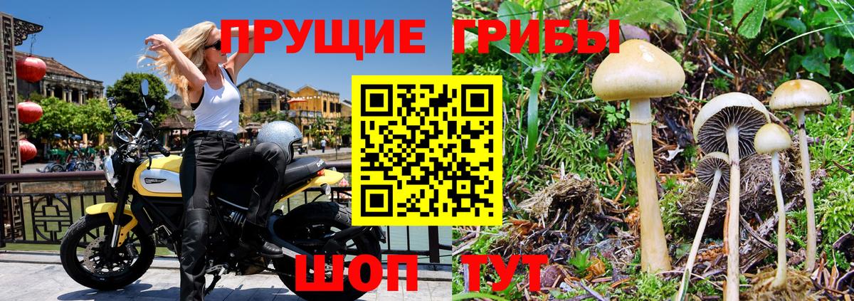 Галлюциногенные грибы MAGIC MUSHROOMS  Вход с VPN  Ангарск 