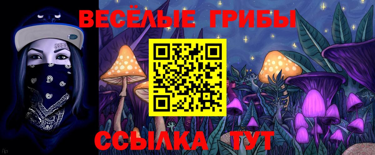 Галлюциногенные грибы Psilocybine cubensis Ангарск