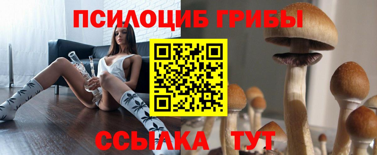 Псилоцибиновые грибы MAGIC MUSHROOMS  Галлюциногенные грибы Psilocybine cubensis  Ангарск 